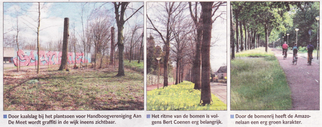 bomenkap_oudegrachtoost_1